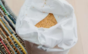 Comment ajuster votre oreiller ergonomique en millet "L'intemporel" Comment ajuster votre oreiller ergonomique en millet "L'intemporel"